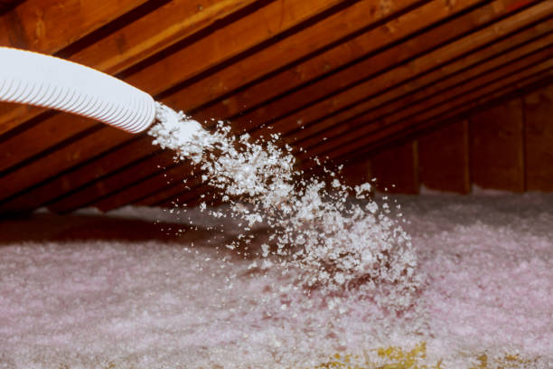 Best Insulation Removal  in Carthage, MO