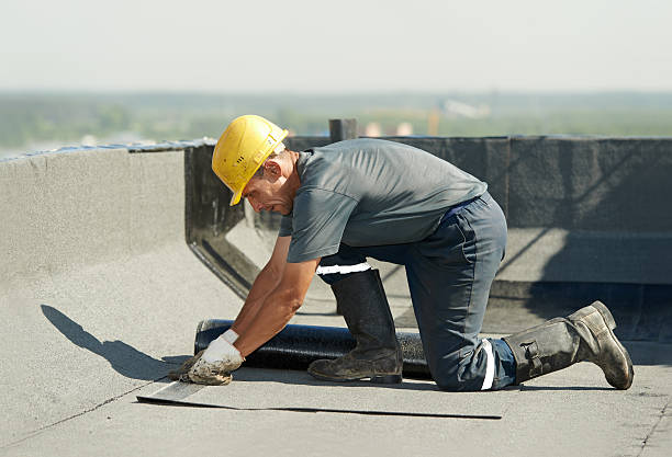 Best Local Insulation Services  in Carthage, MO
